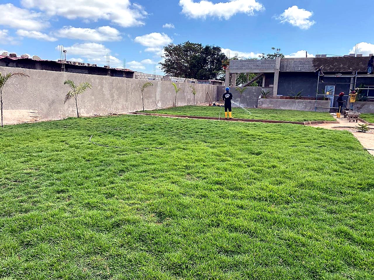 Colocação de relva em placas e rega do jardim